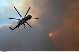 Φωτιά στη Κεφαλονιά: Επιχειρούν επίγειες και εναέριες δυνάμεις