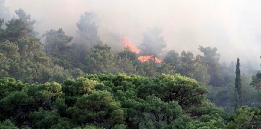 Υπό έλεγχο η φωτιά στη Ρόδο, έκαψε 100 στρέμματα δάσους