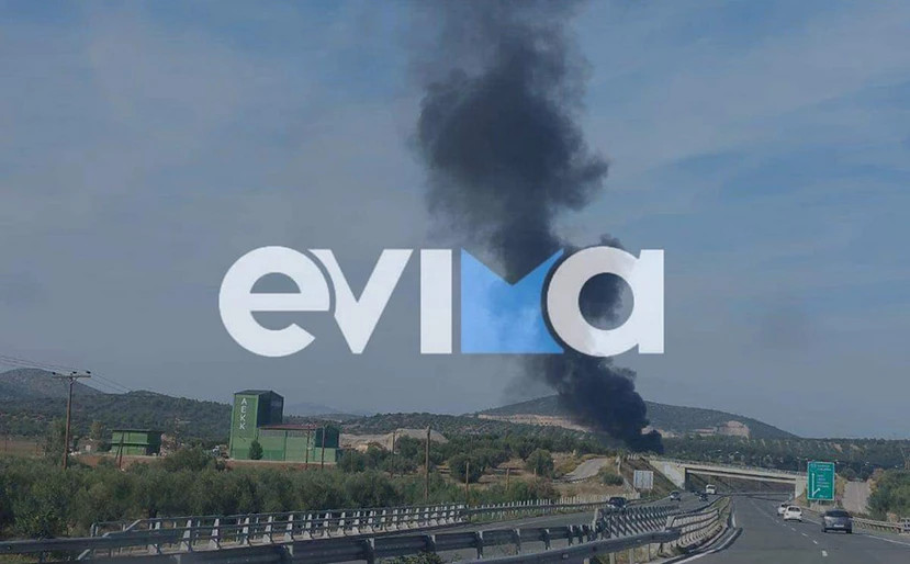 Φωτιά σε εργοστάσιο στην Εύβοια - ΦΩΤΟ