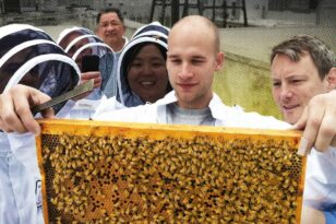 ΔΥΠΑ: Νέο πρόγραμμα κατάρτισης στη μελισσοκομία - Συνεργασία με το ΚΕΘΕΑ Ήπειρος