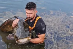 Έπιασε ψάρι 70 κιλών στην Μεγαλόπολη και το άφησε να ζήσει – «Μου πήρε 40 λεπτά»-ΦΩΤΟ