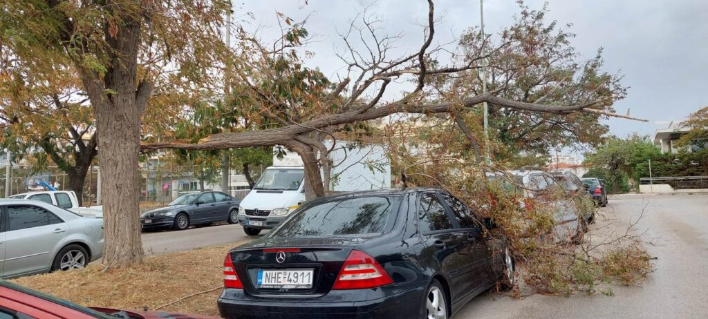 Ισχυροί άνεμοι 10 μποφόρ στην Αλεξανδρούπολη: Πτώσεις δέντρων και ζημιές σε αυτοκίνητα ΦΩΤΟ