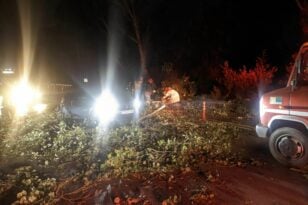 Κακοκαιρία - Πυροσβεστική: Πάνω από 240 κλήσεις για κοπές δέντρων και παροχή βοήθειας