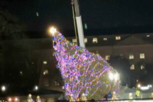 Ουάσιγκτον: Θυελλώδεις άνεμοι «γκρέμισαν» το Χριστουγεννιάτικο δέντρο μπροστά από τον Λευκό Οίκο - ΒΙΝΤΕΟ