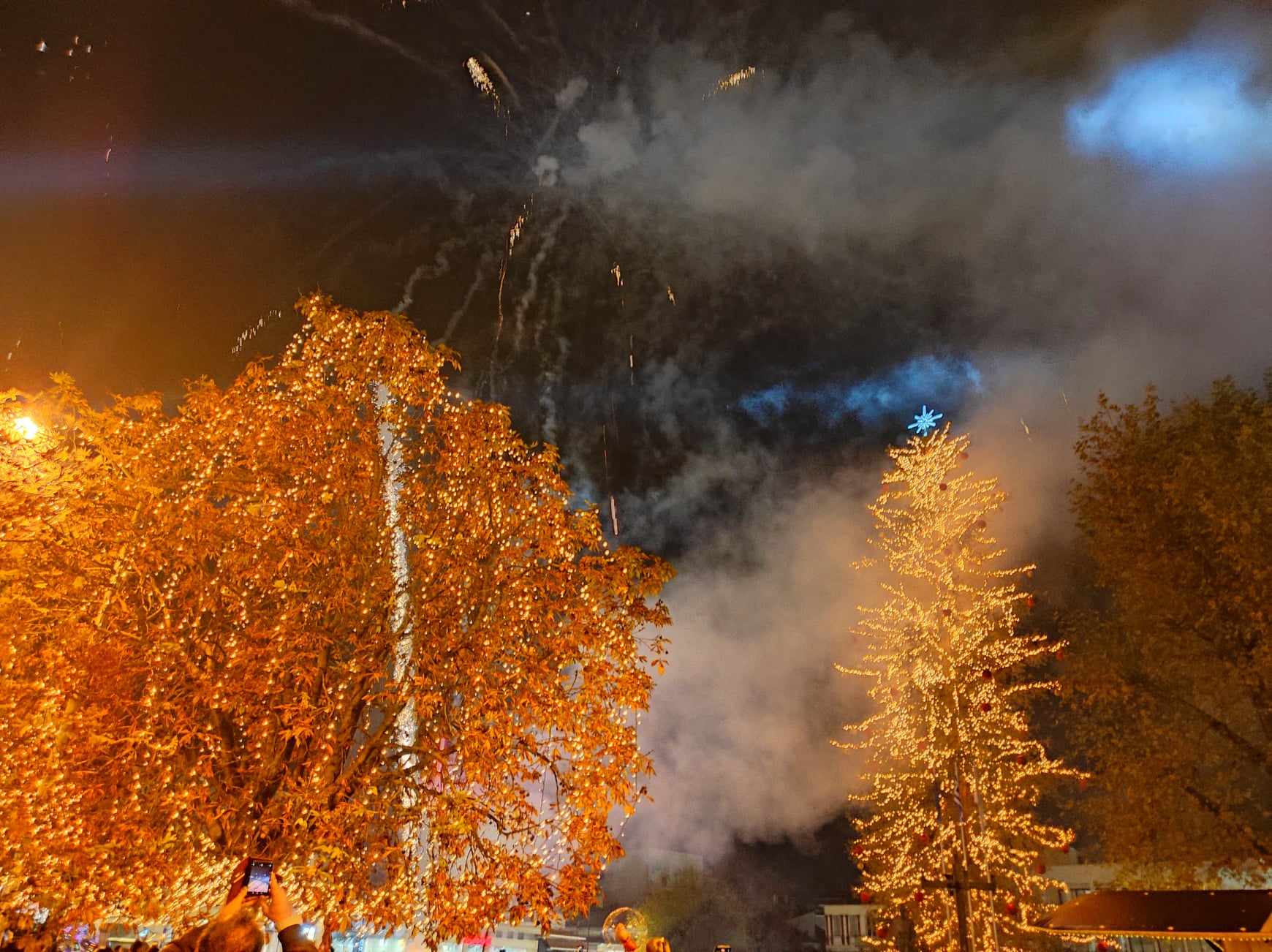 Τρίκαλα: Φως και χαρά από το υψηλότερο φυσικό χριστουγεννιάτικο δέντρο της Ελλάδας - ΦΩΤΟ