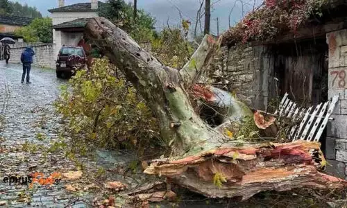 Καιρός – Θεσσαλονίκη: Πέφτουν δέντρα λόγω των θυελλωδών ανέμων, ζημιές σε αυτοκίνητα ΒΙΝΤΕΟ