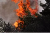 Πάτρα: Πυρκαγιά στον Ρηγανόκαμπο