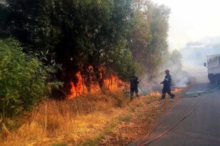 Πυρκαγιά σε δασική έκταση στην Αρσινόη Μεσσηνίας