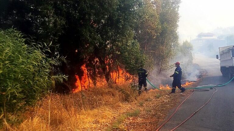 Πυρκαγιά σε δασική έκταση στην Αρσινόη Μεσσηνίας