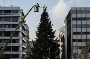 Άρωμα Χριστουγέννων στην Αθήνα - Στήθηκε το χριστουγεννιάτικο δέντρο στο Σύνταγμα ΒΙΝΤΕΟ