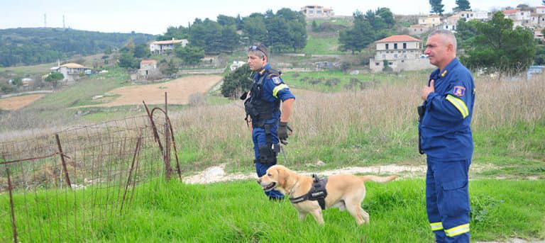 Η 6η ΕΜΑΚ αποχαιρετά τον διασωστικό σκύλο Μαξ - Πέθανε στα 13 του χρόνια -  Pelop.gr - Ειδησεις