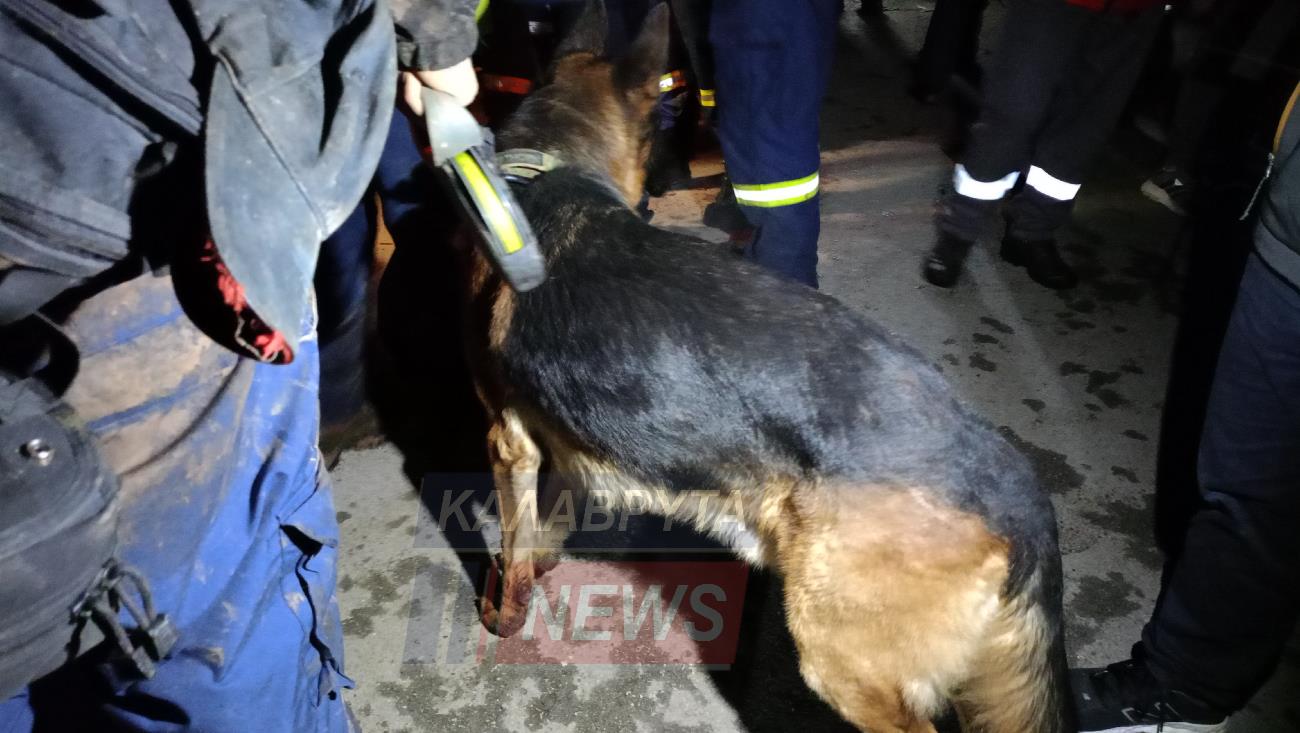 Καλάβρυτα: Βρέθηκε ζωντανός ο 63χρονος κυνηγός από τον εκπαιδευμένο σκύλο της 6η ΕΜΑΚ ΦΩΤΟ - ΒΙΝΤΕΟ από τη διάσωση