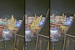 Βέλγιο: Η στιγμή της φονικής πτώσης - Χριστουγεννιάτικο δέντρο καταπλακώνει την 63χρονη BINTEO