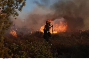 Αχαΐα: Πρόστιμο σε άνδρα για πρόκληση πυρκαγιάς στα Καλάβρυτα