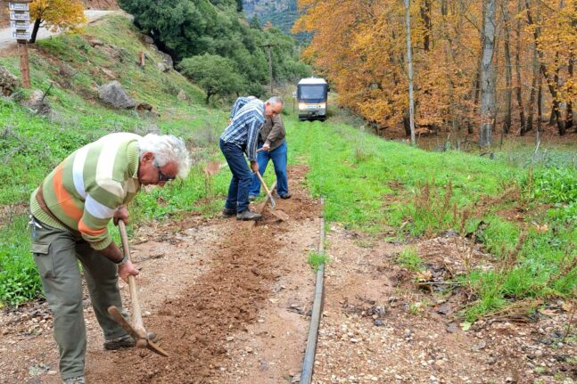 αγροτικά τμήματα