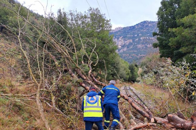 αγροτικά τμήματα