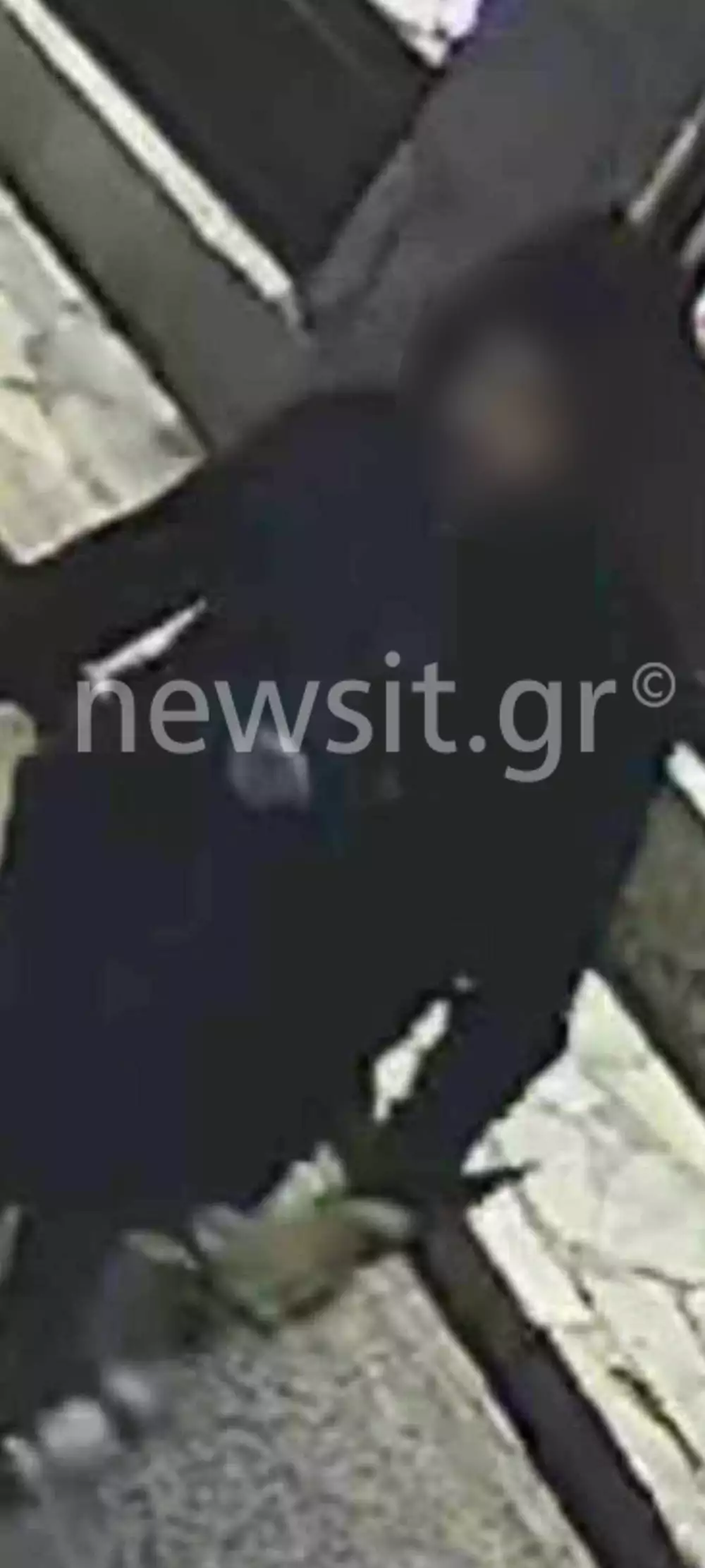 Αράχωβα: Φωτογραφίες ντοκουμέντο με άνδρα σε απόσταση αναπνοής από το χάσκι το βράδυ της επίθεσης