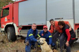 Επιχείρηση πυροσβεστών στο Αγρίνιο για τη διάσωση σκύλου - ΦΩΤΟ
