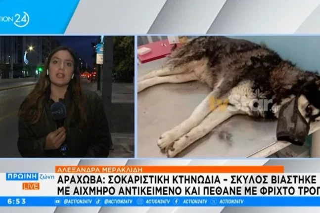 τέλη κυκλοφορίας