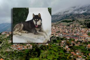 Αράχωβα: Οι 3 καταθέσεις του ιδιοκτήτη του Όλιβερ και οι αντιφάσεις στους χρόνους - Το σκυλί δεν είχε  καν ταφεί