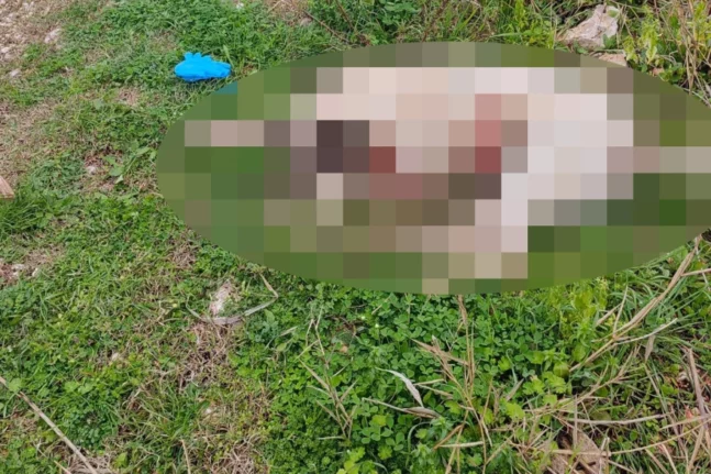 Πρέβεζα: Πυροβόλησε και σκότωσε σκύλο μέσα στον κόσμο σε περιοχή που έπαιζαν παιδιά