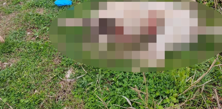 Πρέβεζα: Πυροβόλησε και σκότωσε σκύλο μέσα στον κόσμο σε περιοχή που έπαιζαν παιδιά