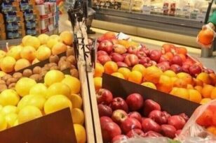 Εξαγωγές: «Χρονιά ρεκόρ» το 2023 για φρούτα και λαχανικά