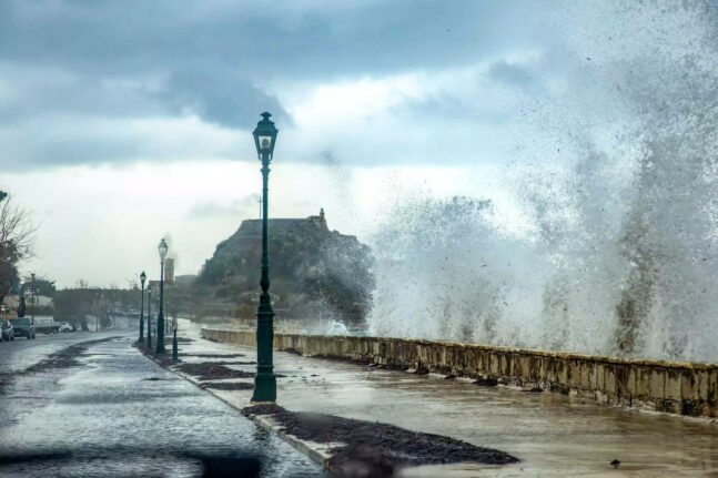 Μαγιορκίνης