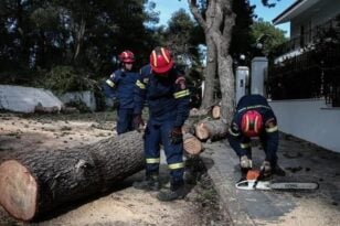 Πυροσβεστική: Δέχθηκε πάνω από 485 κλήσεις για παροχή βοήθειας - 101 στη Δυτική Ελλάδα, πού επενέβη