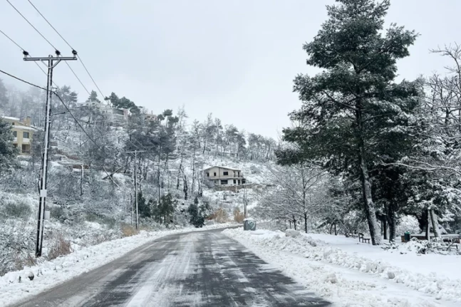 Ολυμπιακός