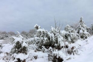 Ζαγόρι: Περιπέτεια στα χιόνια για πέντε εκδρομείς – Τους απεγκλώβισε η ΕΜΑΚ
