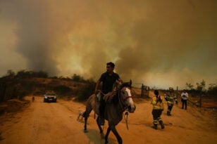 Χιλή: Τουλάχιστον 19 νεκροί σε δασικές πυρκαγιές στην Βίνια ντελ Μαρ