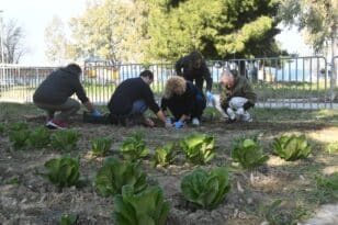 Αστικοί λαχανόκηποι στο Πάρκο Εκπαιδευτικών Δράσεων του Δήμου Πατρέων ΦΩΤΟ