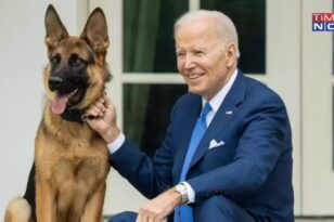 ΗΠΑ: Έδιωξαν τον σκύλο του Μπάιντεν από τον Λευκό Οίκο