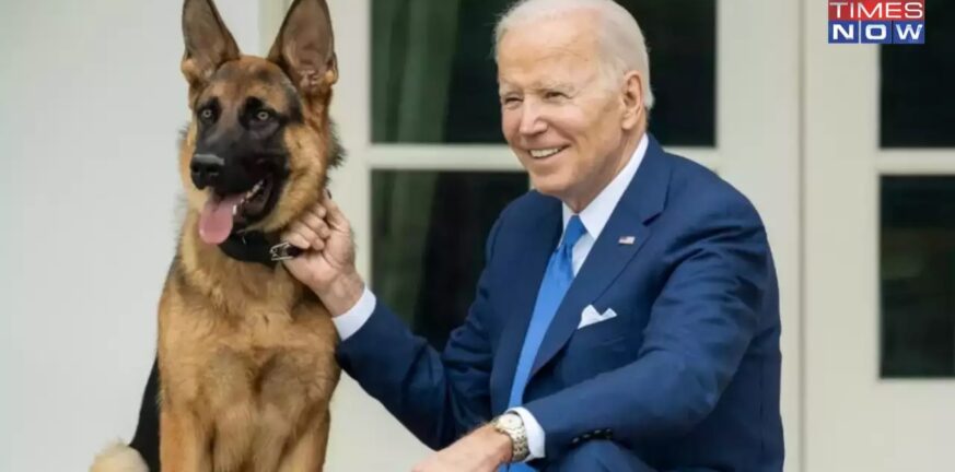 ΗΠΑ: Έδιωξαν τον σκύλο του Μπάιντεν από τον Λευκό Οίκο
