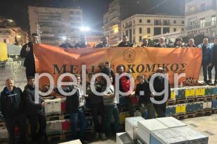 Πάτρα: Ένα μεγάλο μελίσσι η πλατεία Γεωργίου - Χθες βράδυ μετέφεραν τις άδειες κυψέλες στο κέντρο της πόλης