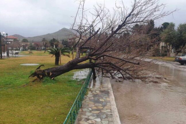 Τρίτη και 13