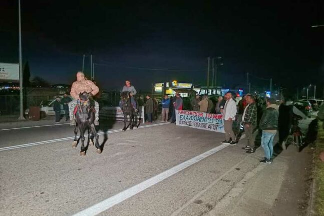 Κεφαλονιά