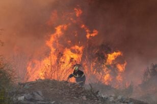 Χιλή: Τουλάχιστον 112 νεκροί από πυρκαγιές - Απανθρακώθηκαν μέσα στα αυτοκίνητά τους - ΦΩΤΟ - ΒΙΝΤΕΟ
