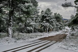 Καιρός: Χιονίζει πάλι στην Πάρνηθα – Διακόπηκε η κυκλοφορία από το τελεφερίκ