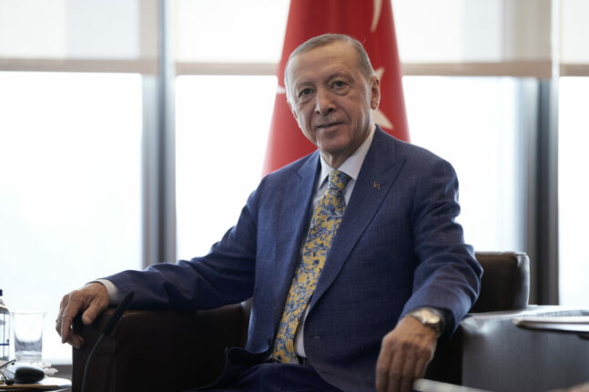 Τα διαπιστευτήριά του υπέβαλε στον πρόεδρο Ερντογάν ο πρεσβευτής της Ελλάδας στην Άγκυρα, Θεόδωρος Μπιζάκης