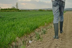 Περιφέρεια Δυτικής Ελλάδος: Επιπλέον πόροι για τους αγρότες, απολογισμός και νέες δράσεις