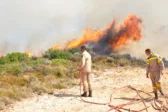 Πάτρα - Φωτιά τώρα στου Διάκου: Η Πυροσβεστική στο σημείο