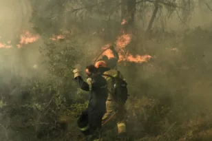 Φωτιά σε δασική έκταση στη Λακωνία - Ενισχύθηκαν οι δυνάμεις της Πυροσβεστικής
