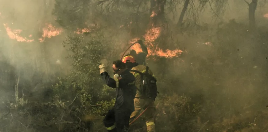 Φωτιά σε δασική έκταση στη Λακωνία - Δασοκομάντος από την Πάτρα στη μάχη