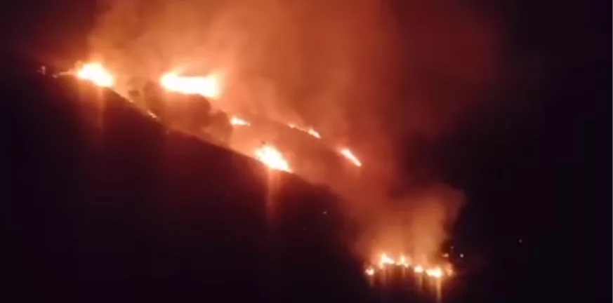 Πυρκαγιά στην περιοχή της Αράχωβας - ΒΙΝΤΕΟ