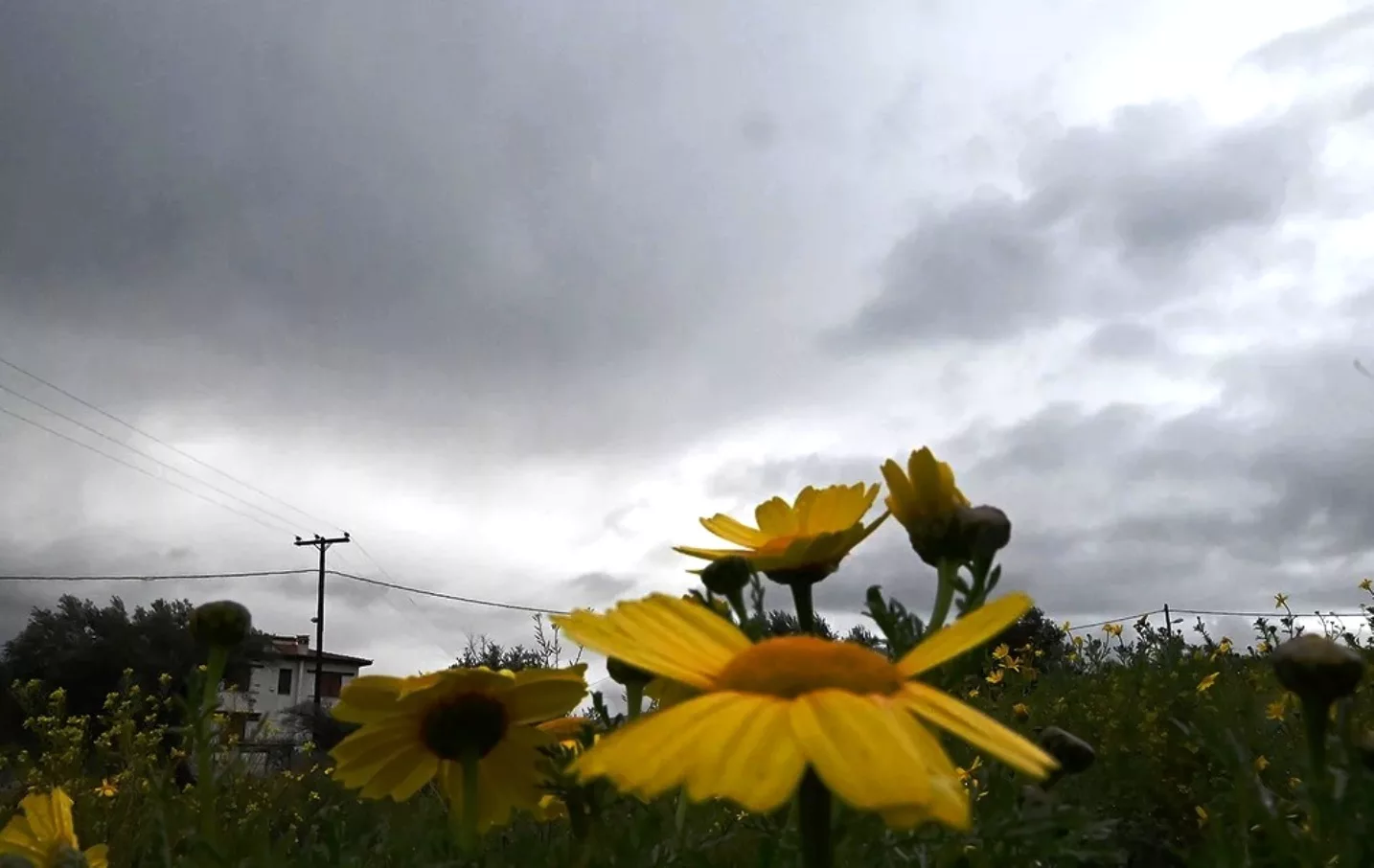 Brace Yourself: A Cold Front and Stormy Weather Are Heading Your Way!