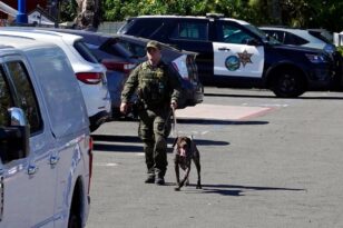 Καλιφόρνια: Τέσσερις νεκροί και τραυματίες από πυροβολισμούς σε πάρτι