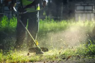 Δήμος Πατρέων: Καθαρίστε τα οικόπεδα ενόψει αντιπυρικής – Το πρόστιμο σε όσους δεν συμμορφωθούν