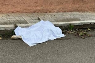 Αγρίνιο: Φρικτός θάνατος σκύλου που σύρθηκε στην άσφαλτο από οδηγό αυτοκινήτου - ΠΡΟΣΟΧΗ σκληρές εικόνες